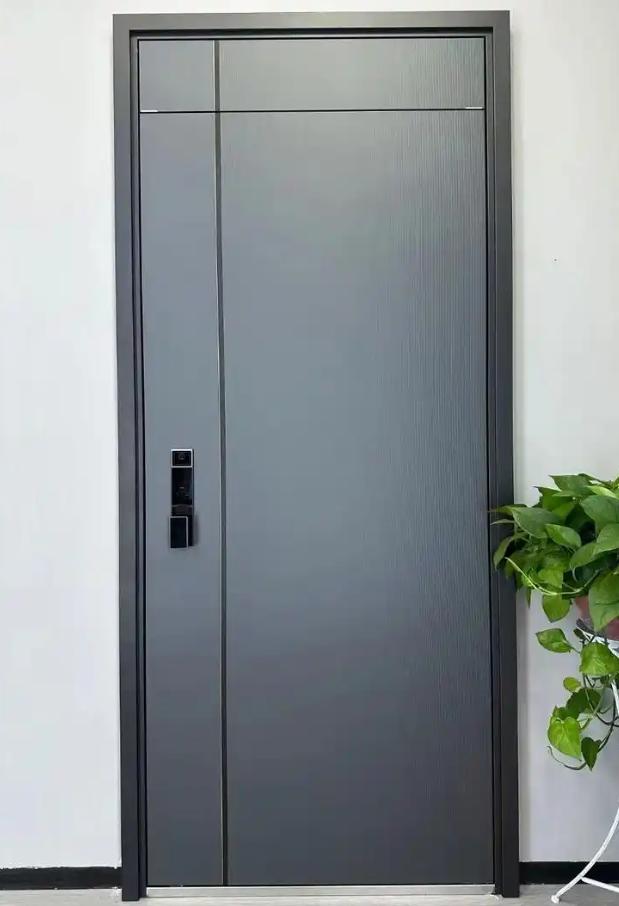 Brushed aluminum door